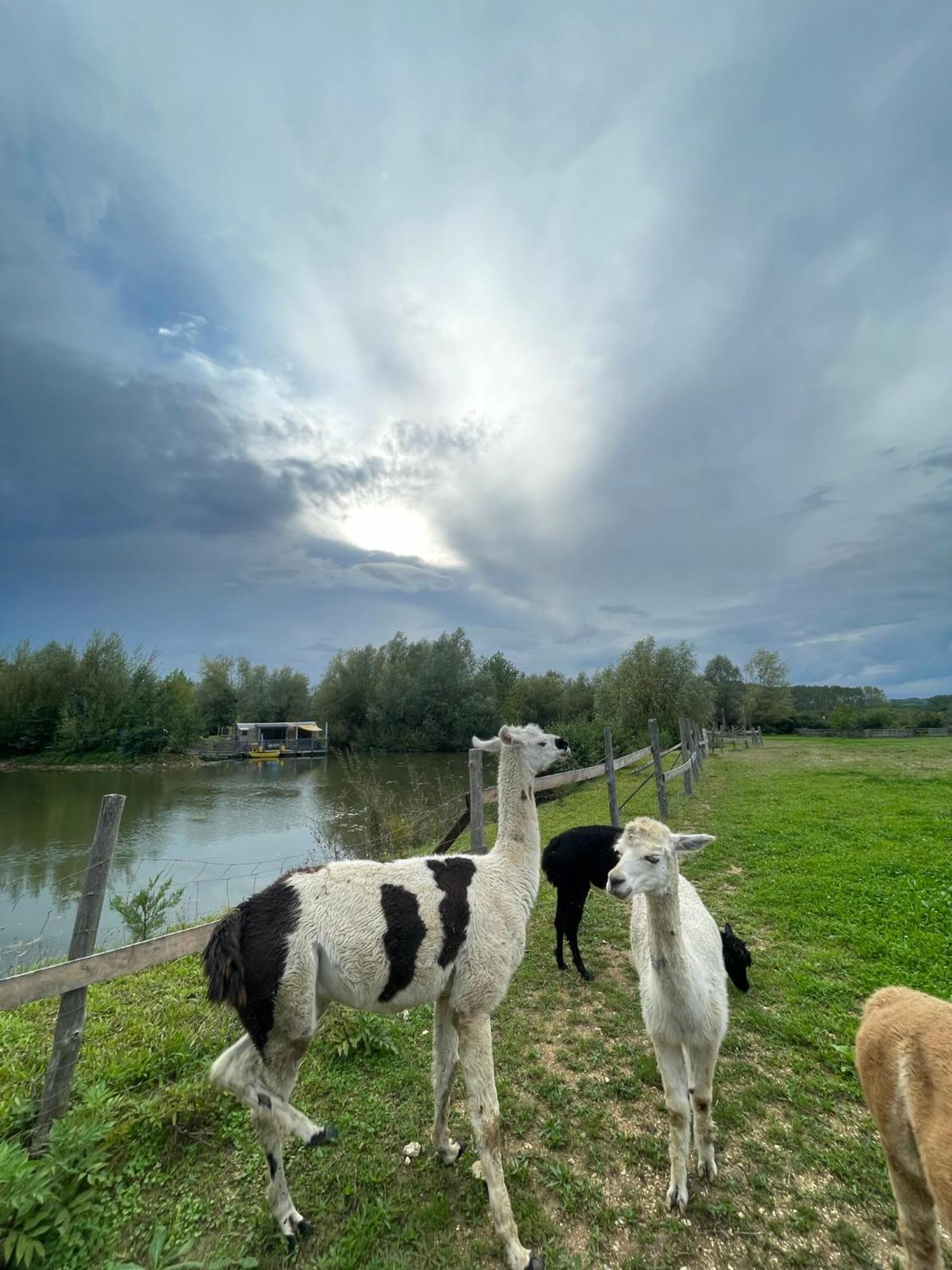 Lodges Des Grands Crus Chablis Exteriér fotografie